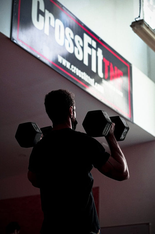 Online Training Plan – Full Body Program